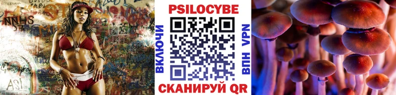 Галлюциногенные грибы мухоморы  купить наркотик  Чухлома 